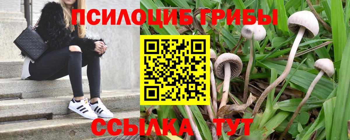 Галлюциногенные грибы мухоморы  Вход с VPN  Миасс 