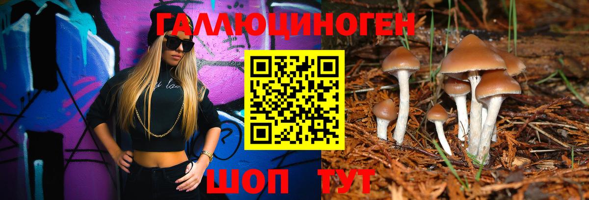 Псилоцибиновые грибы MAGIC MUSHROOMS Миасс